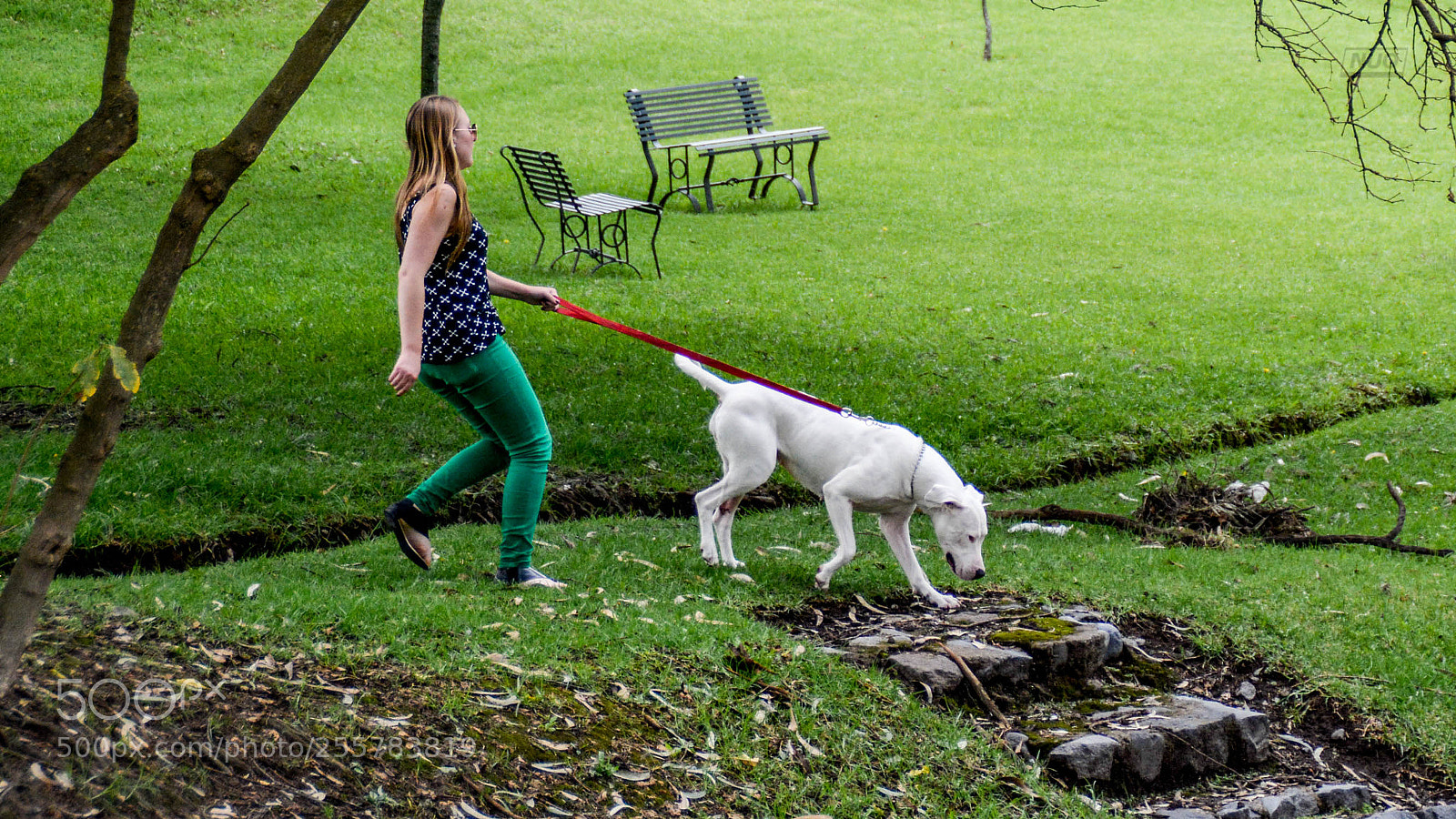 Nikon D5200 sample photo. Gucci photography
