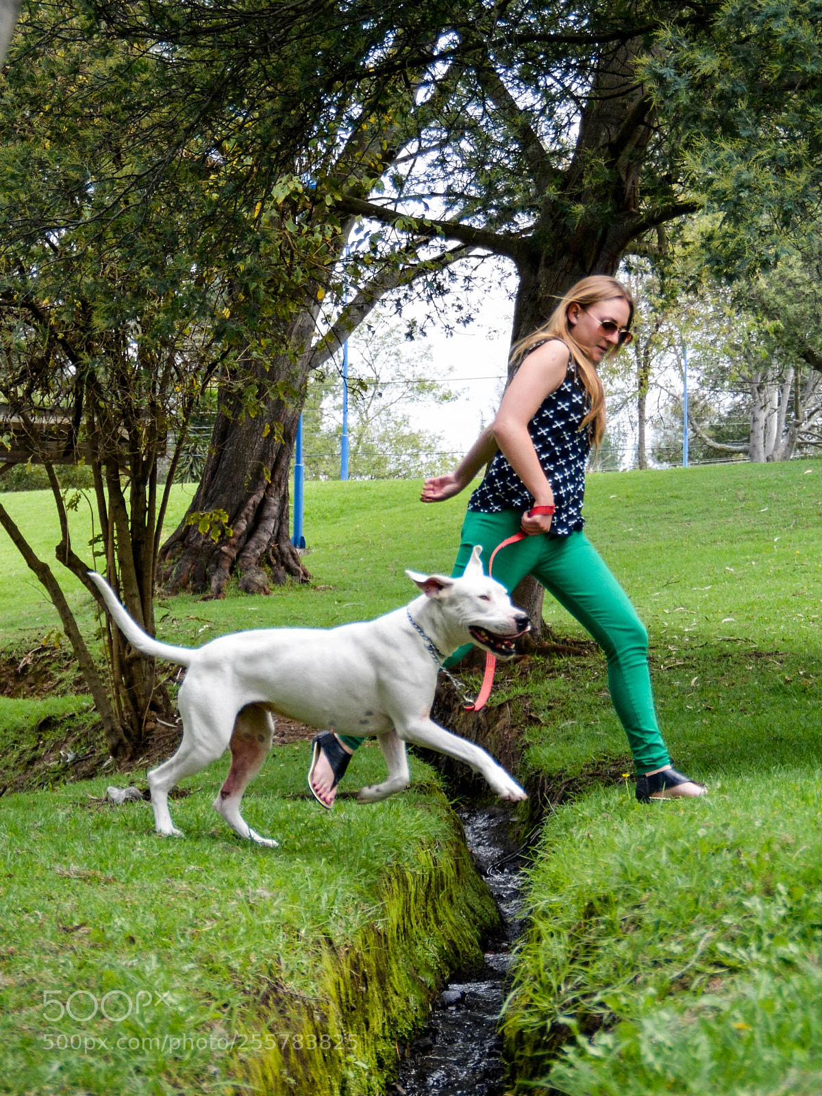 Nikon D5200 sample photo. Gucci photography