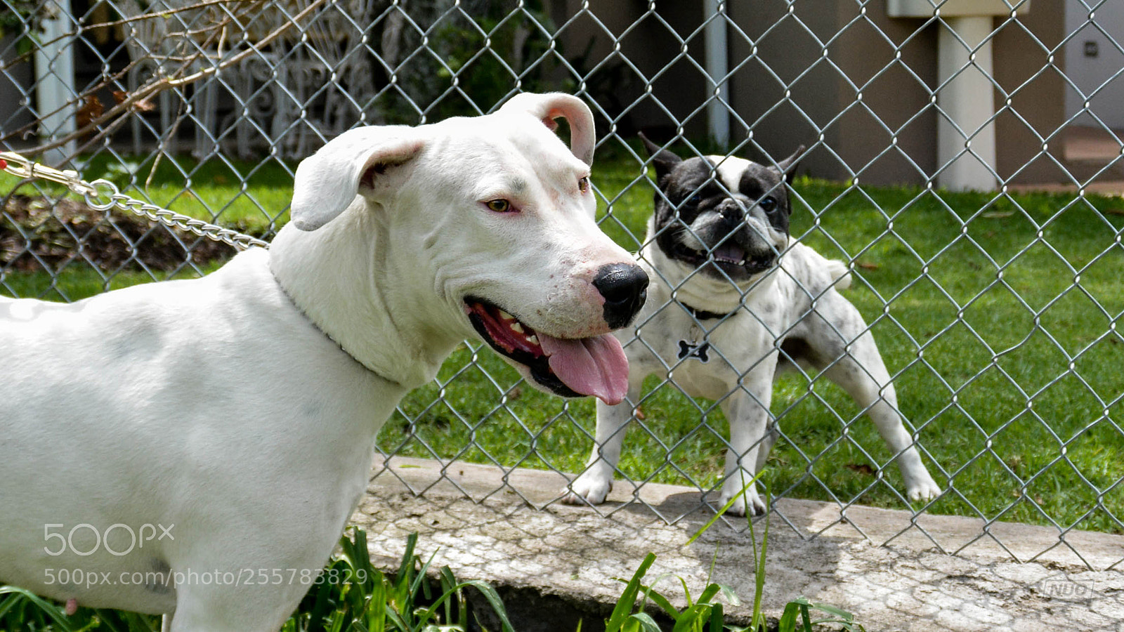 Nikon D5200 sample photo. Gucci photography