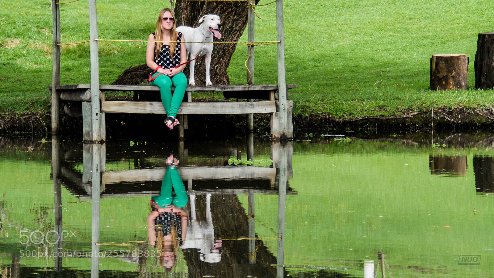 Nikon D5200 sample photo. Gucci photography