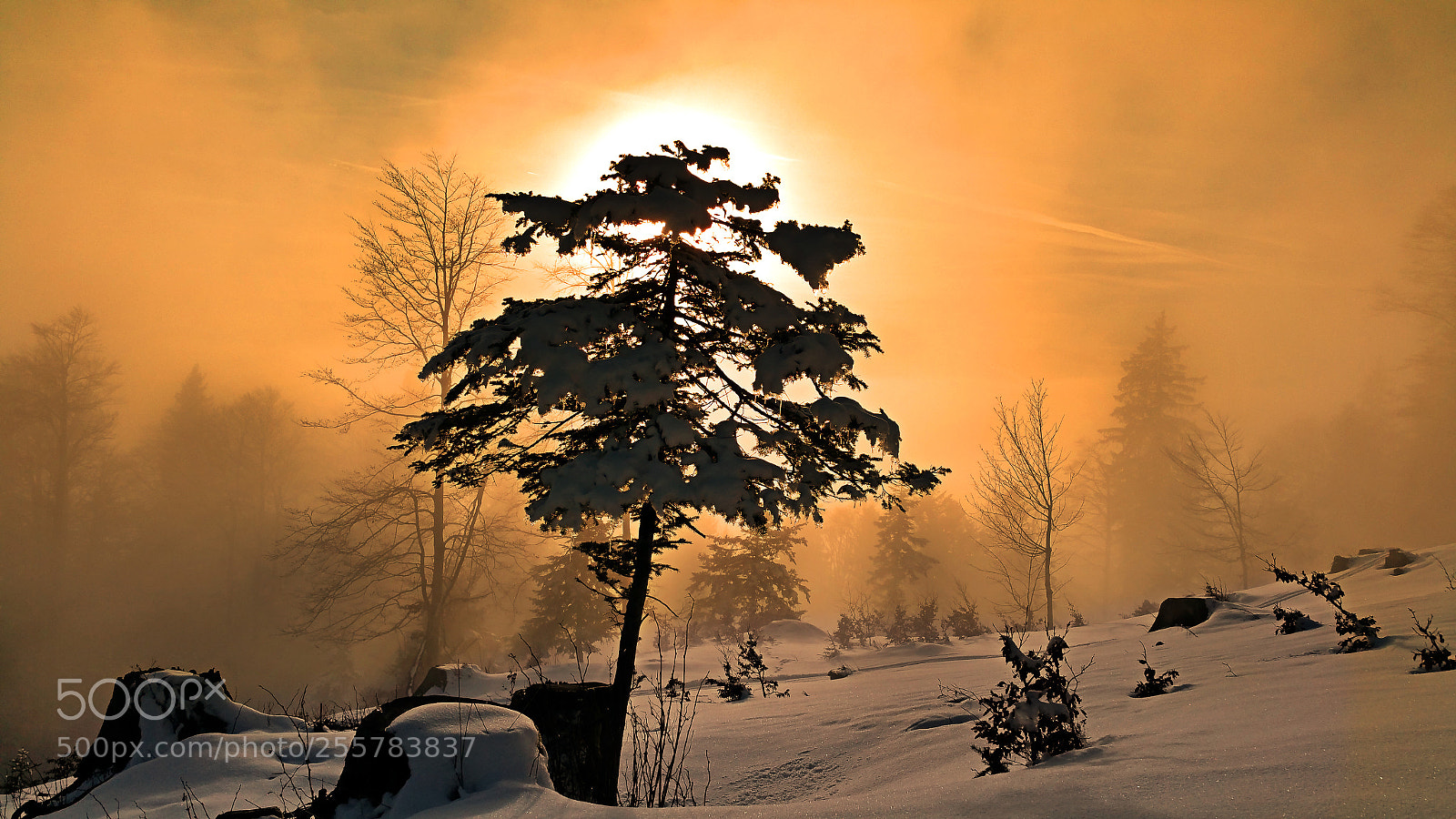 Samsung Galaxy Note4 sample photo. Sonne nebel am schlenken photography