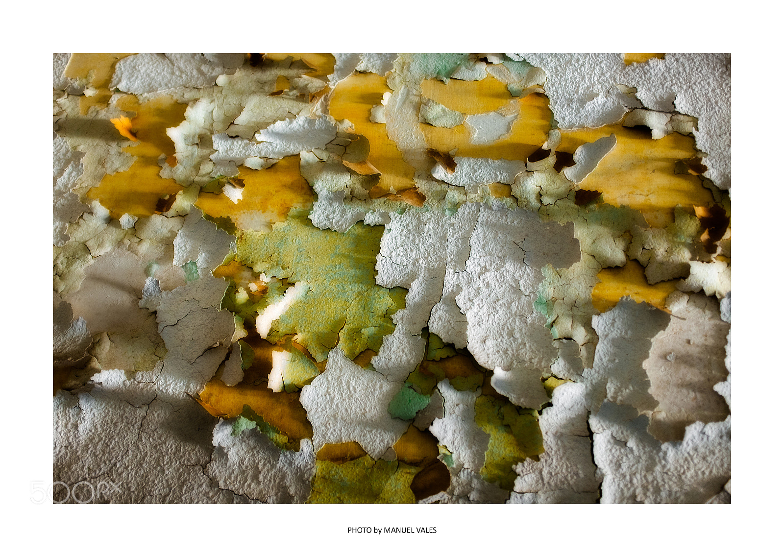 Fujifilm X100T sample photo. Paleta de colores photography