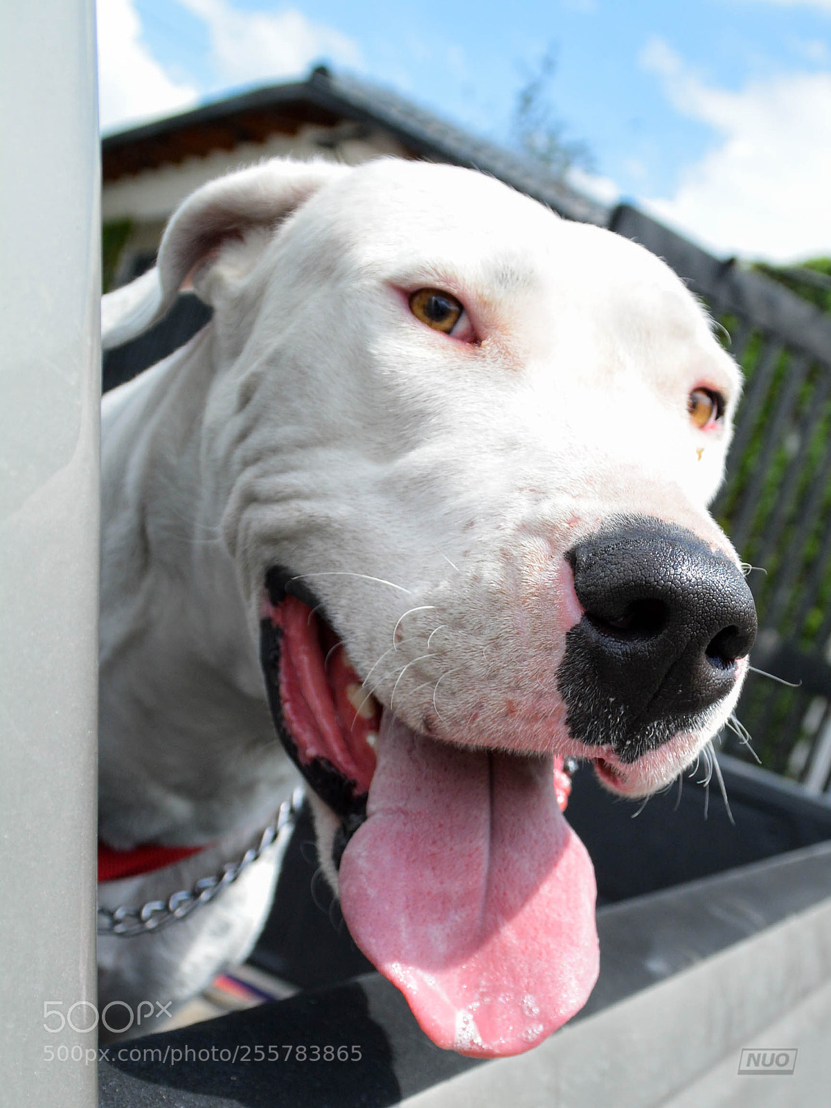 Nikon D5200 sample photo. Gucci photography