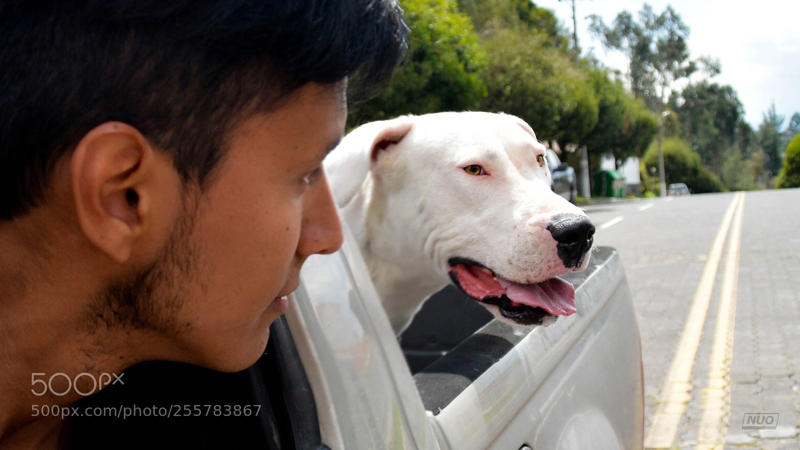 Nikon D5200 sample photo. Gucci photography