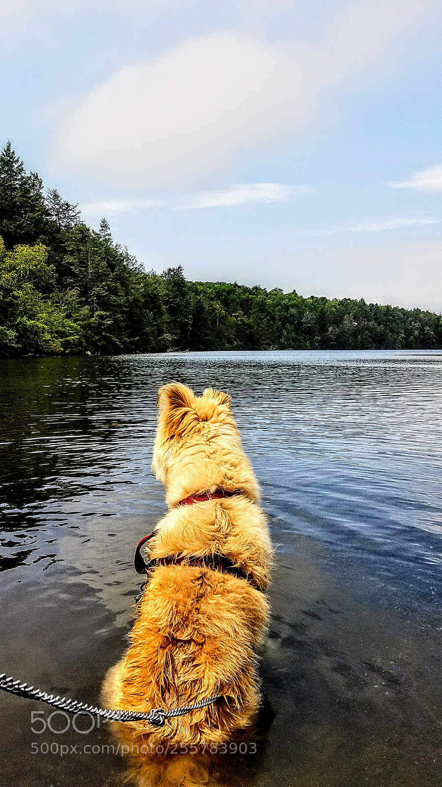 Samsung Galaxy S7 Edge sample photo. Lake awosting, new york photography