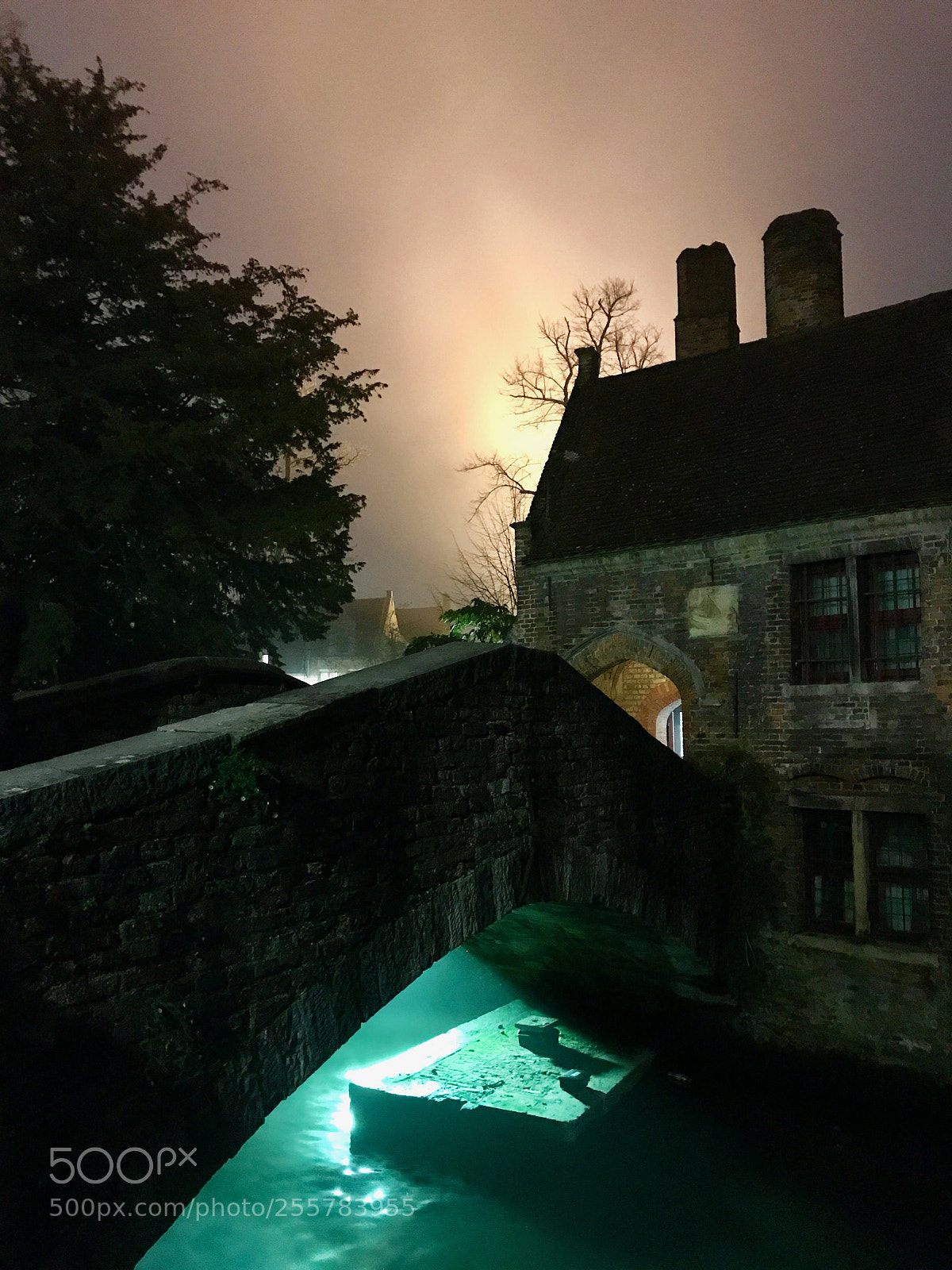 Apple iPhone 7 Plus sample photo. Mysterious night photography