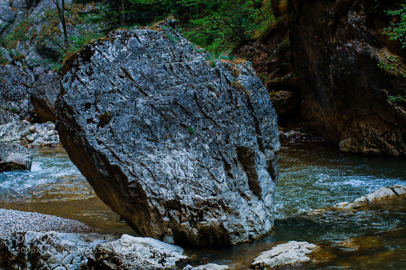 Canon EOS 70D sample photo. Untitled photography
