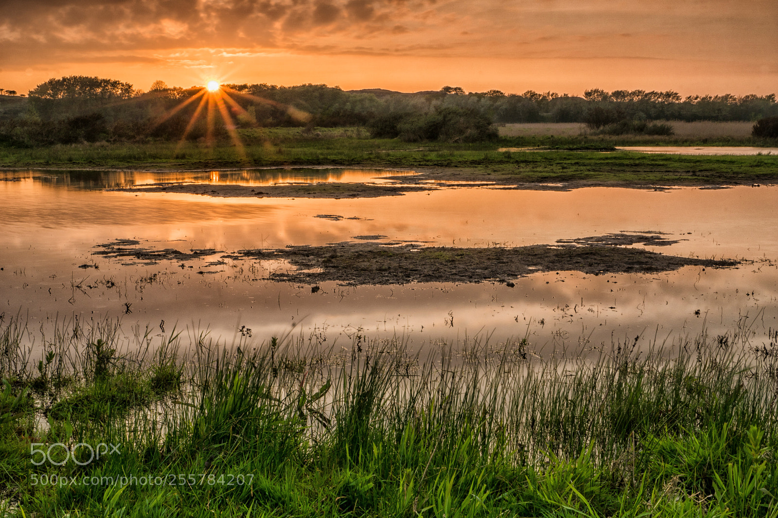 Sony ILCA-77M2 sample photo. Sunset photography