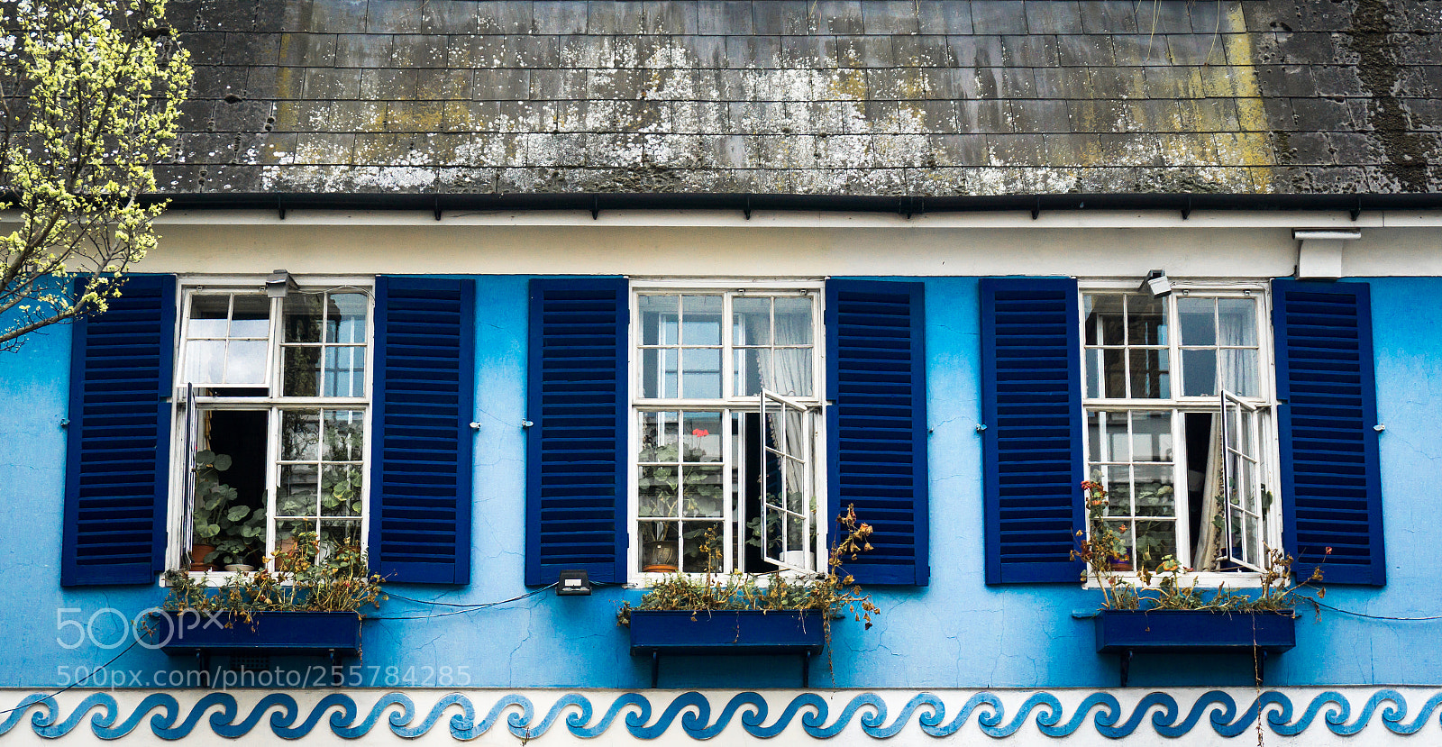 Sony a6000 sample photo. Blue windows photography