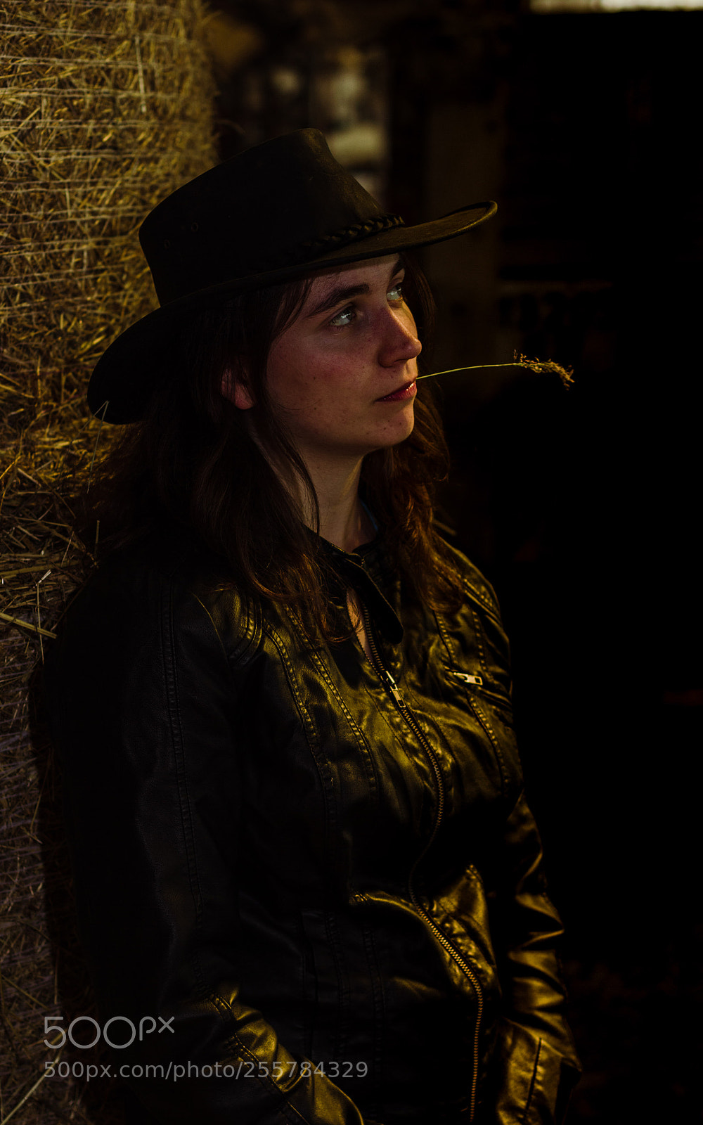 Canon EOS 550D (EOS Rebel T2i / EOS Kiss X4) sample photo. Cow boy photography