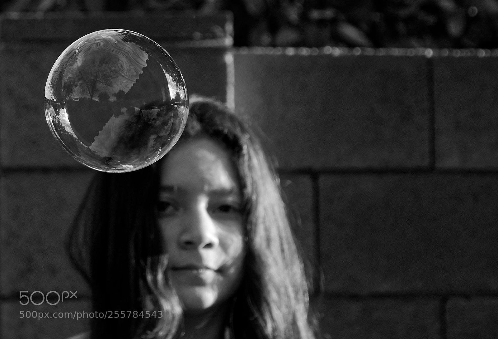 Nikon D7100 sample photo. Buble photography