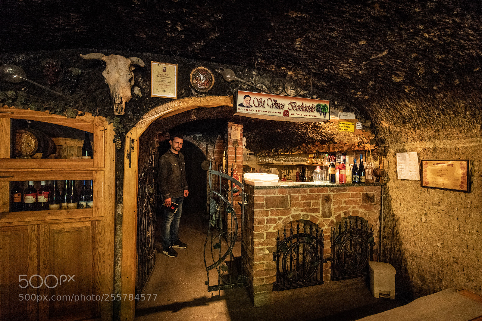 Nikon D850 sample photo. The winecellar photography