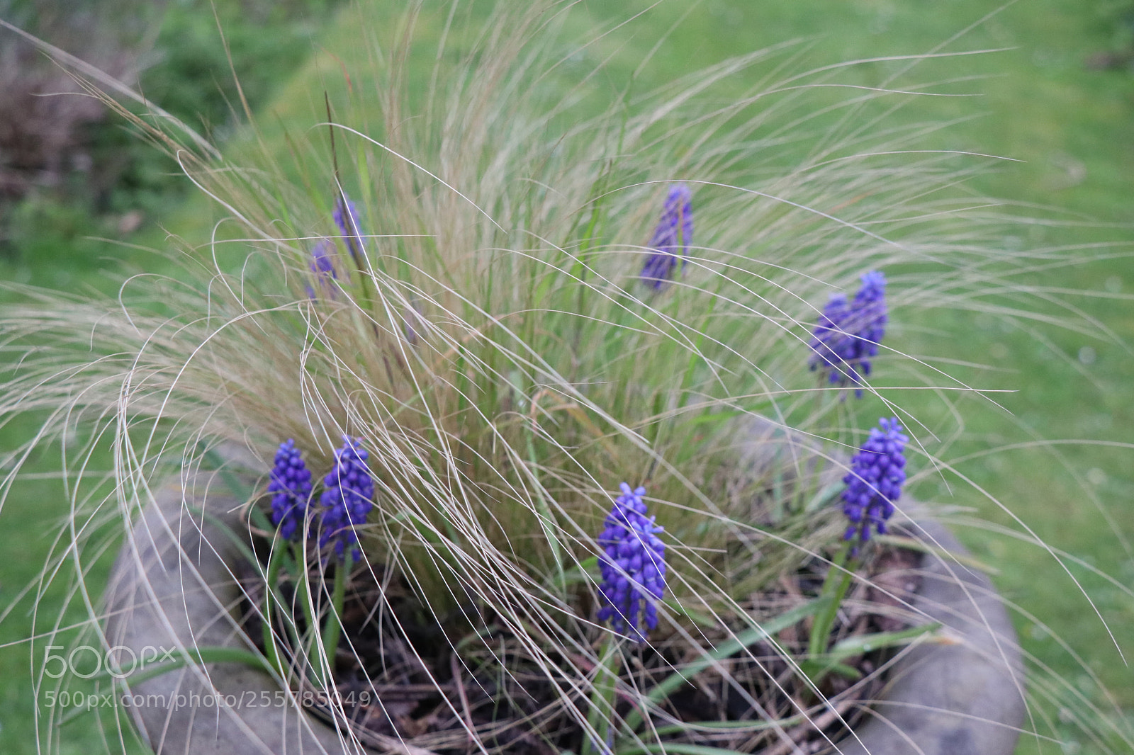 Canon EOS 80D sample photo. Untitled photography