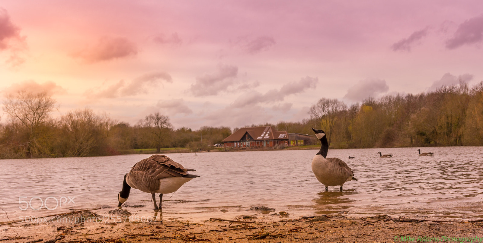 Nikon D7200 sample photo. Thatcham lakes photography