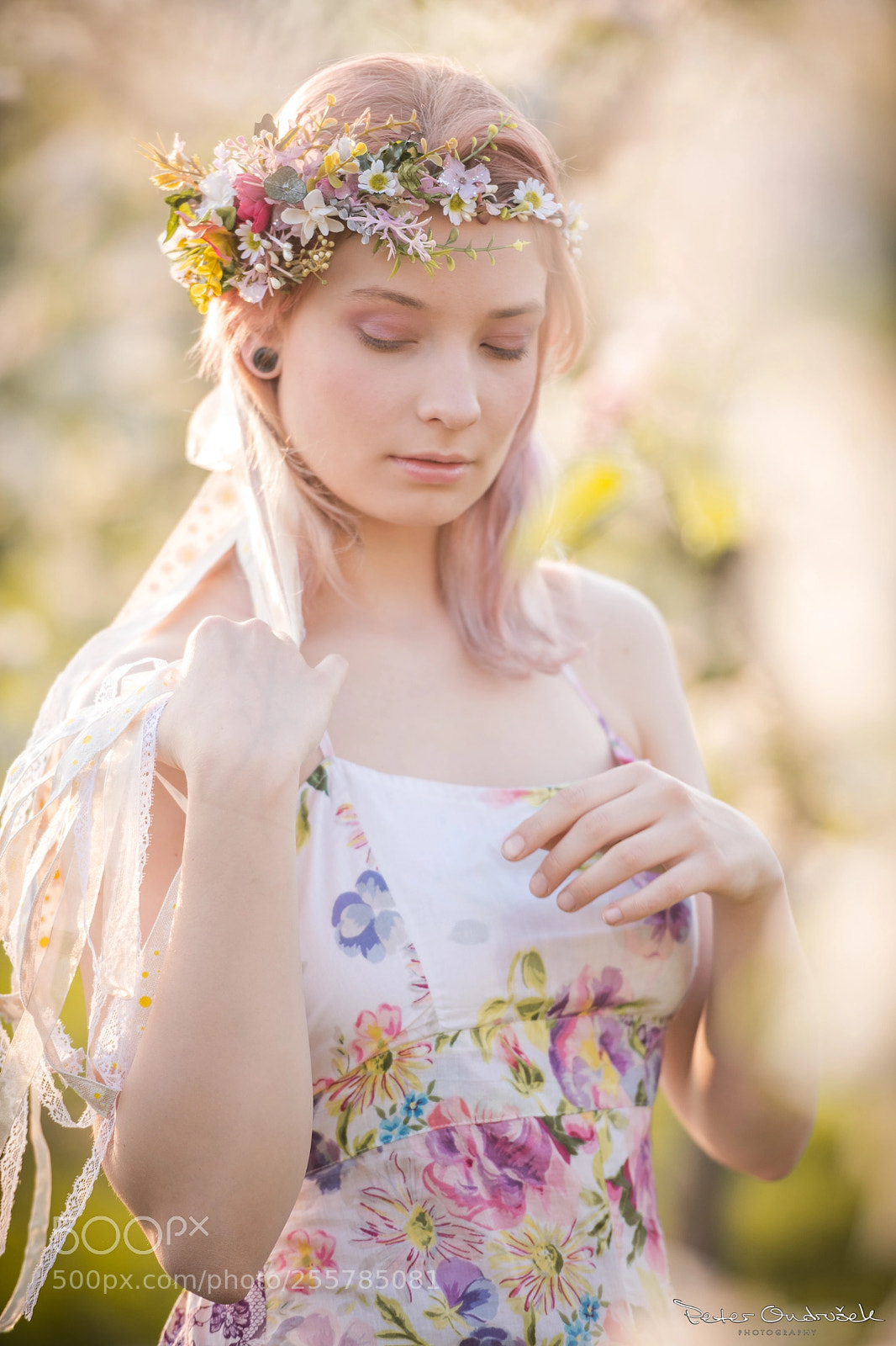 Nikon D850 sample photo. Lily photography