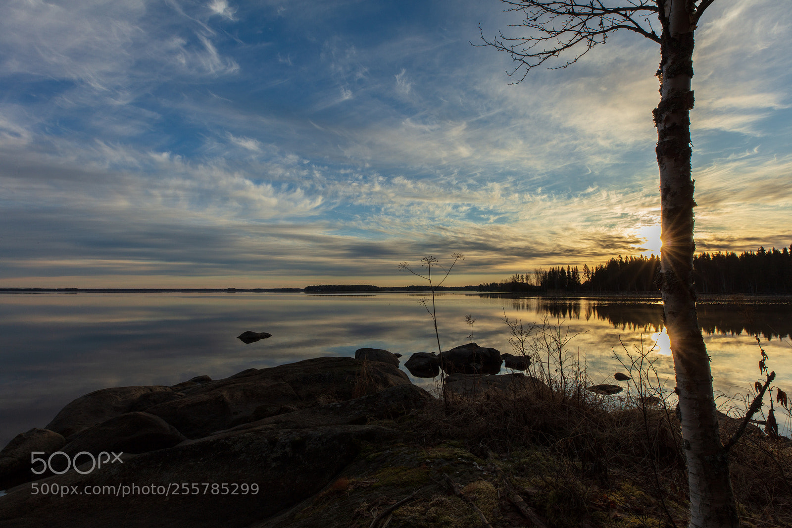Canon EOS 5DS sample photo. Morning on the lake photography