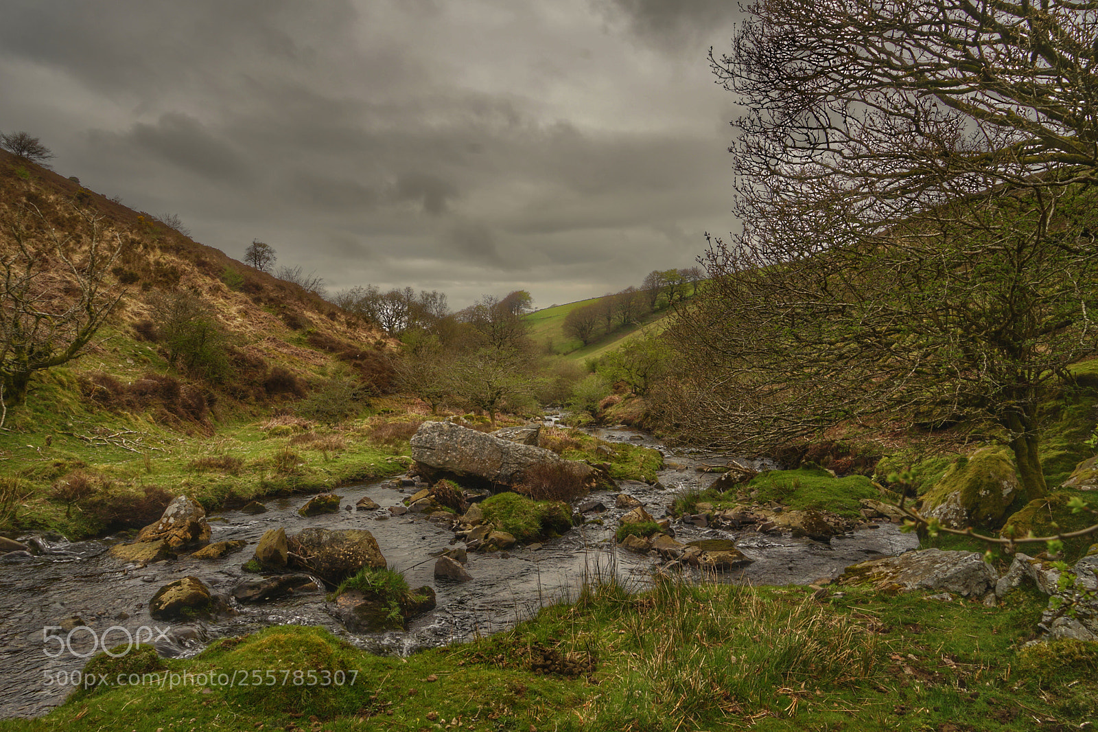 Sony a7 sample photo. Exmoor photography