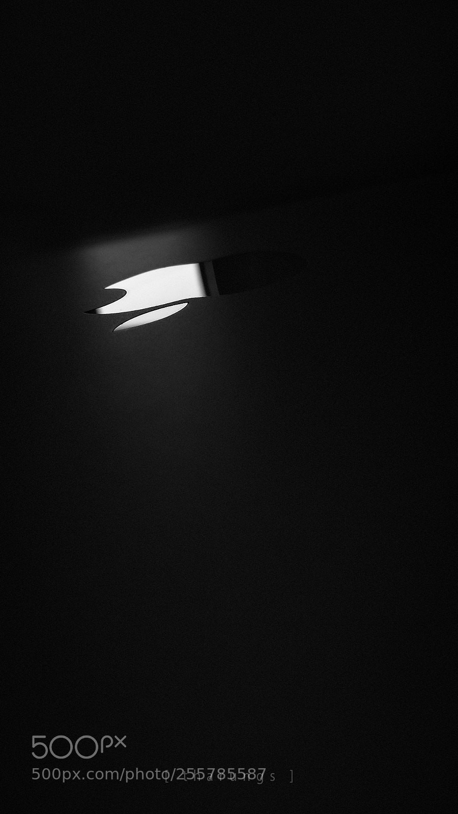 Xiaomi Redmi Note 4 sample photo. Apple love ? photography