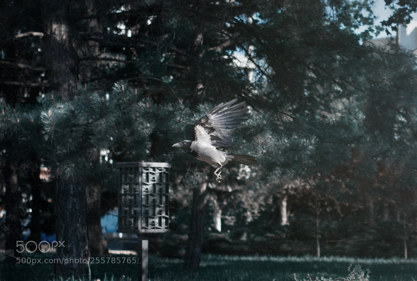 Nikon D5300 sample photo. Untitled photography