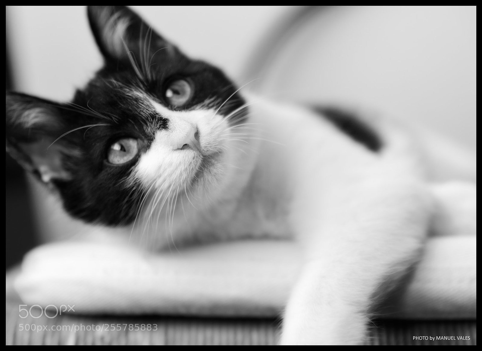 Canon EOS 5D Mark IV sample photo. Mía photography