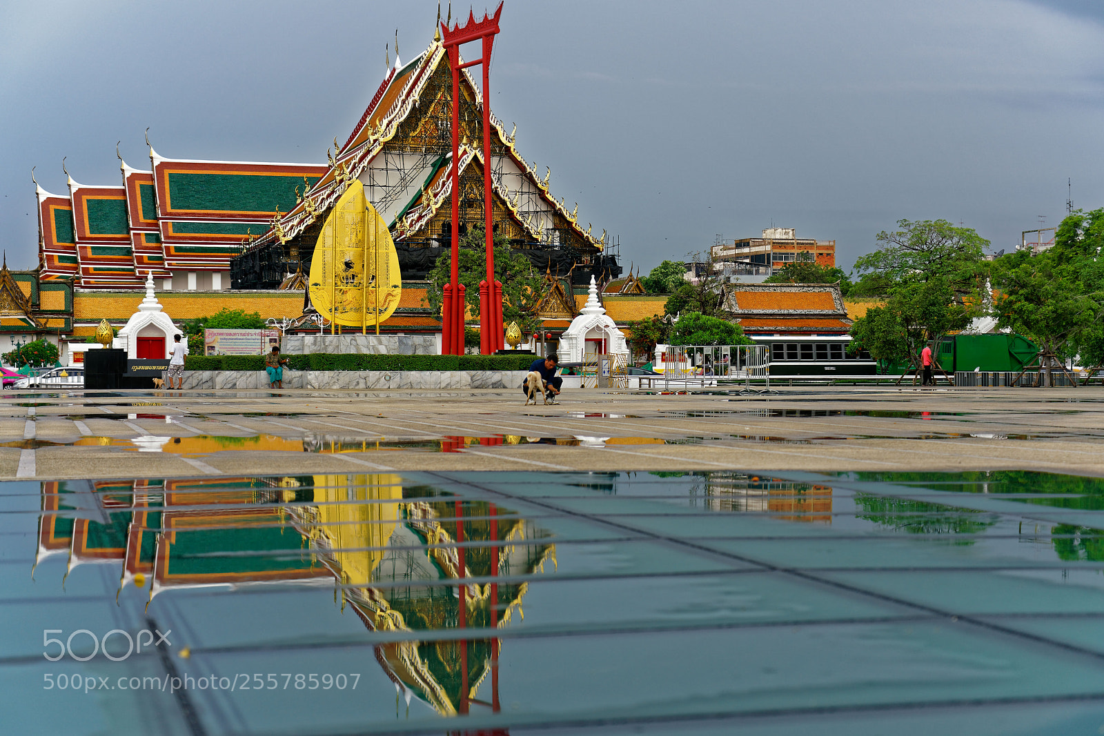 Sony a7R II sample photo. The mirror photography