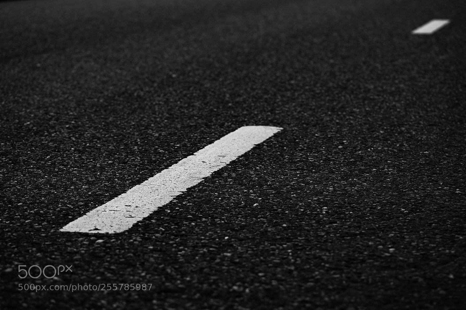 Sony SLT-A58 sample photo. Simple road photography