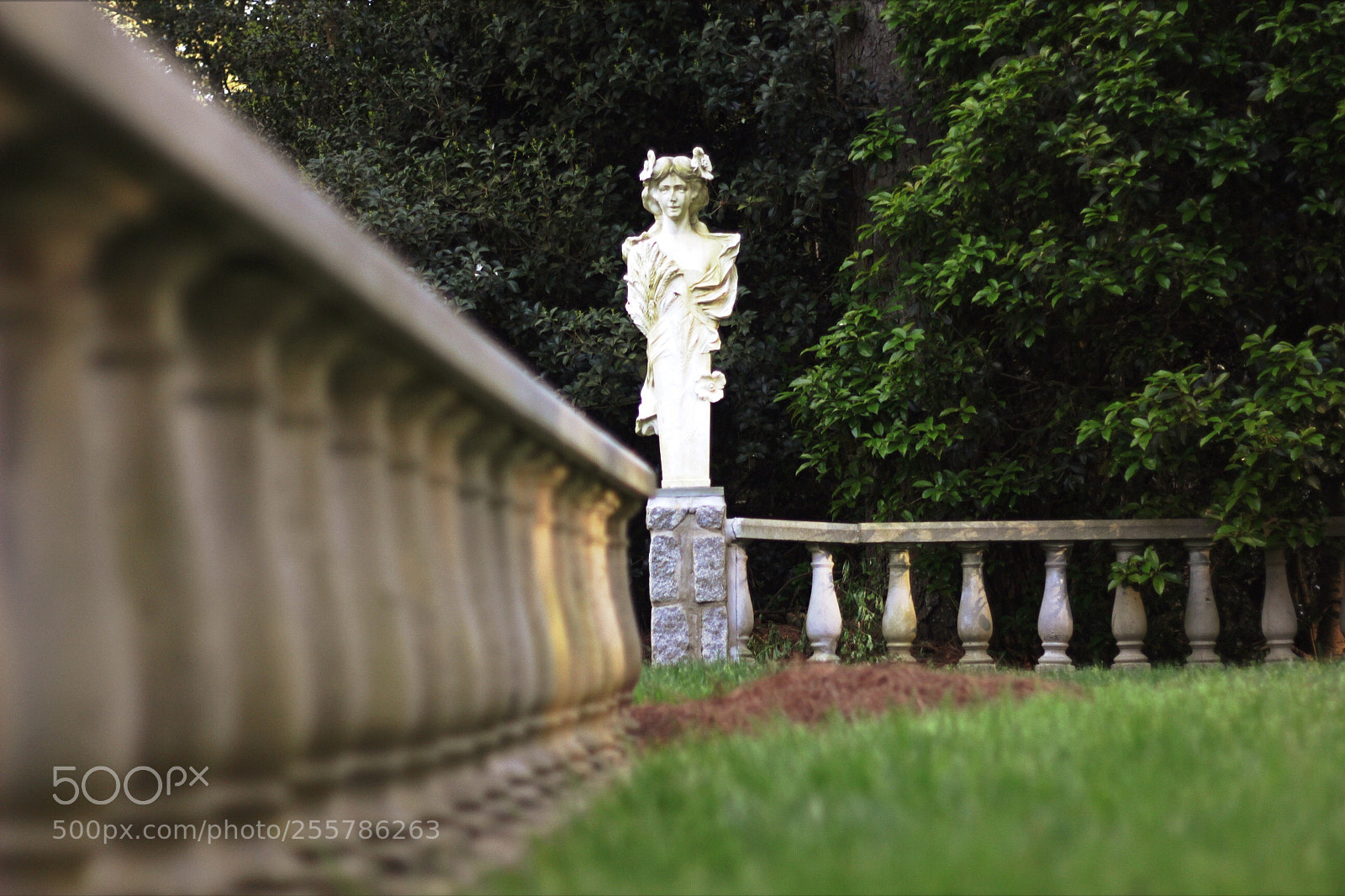 Canon EOS 60D sample photo. The statue photography