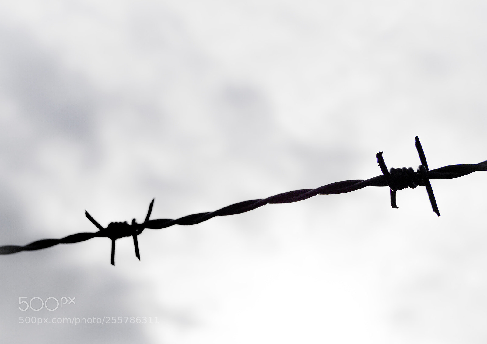 Sony SLT-A58 sample photo. Minimalistic photography