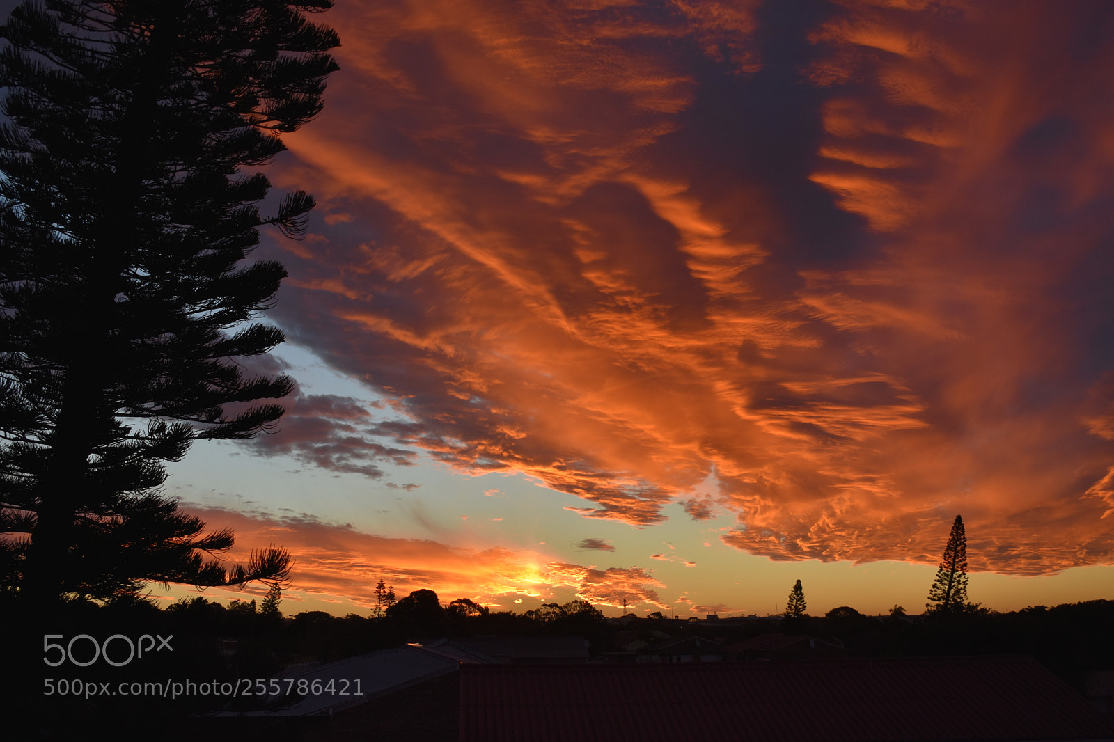 Nikon D3400 sample photo. Orange sunset photography