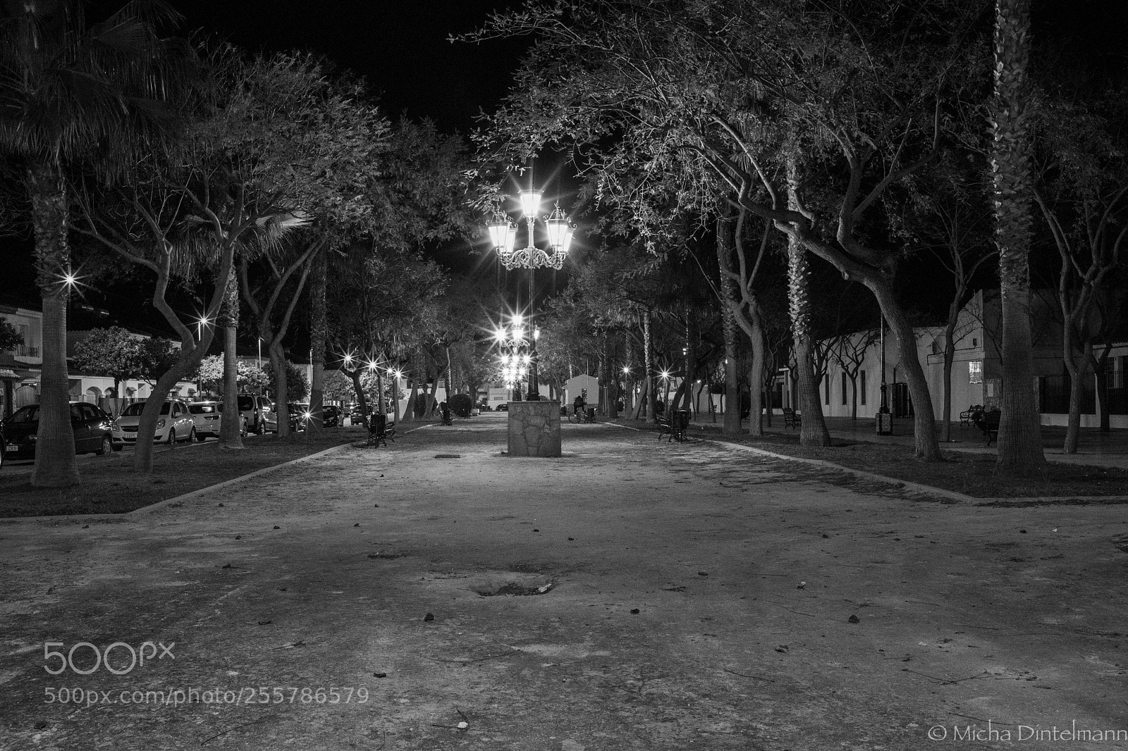 Sony a7 II sample photo. Nueva jarilla photography
