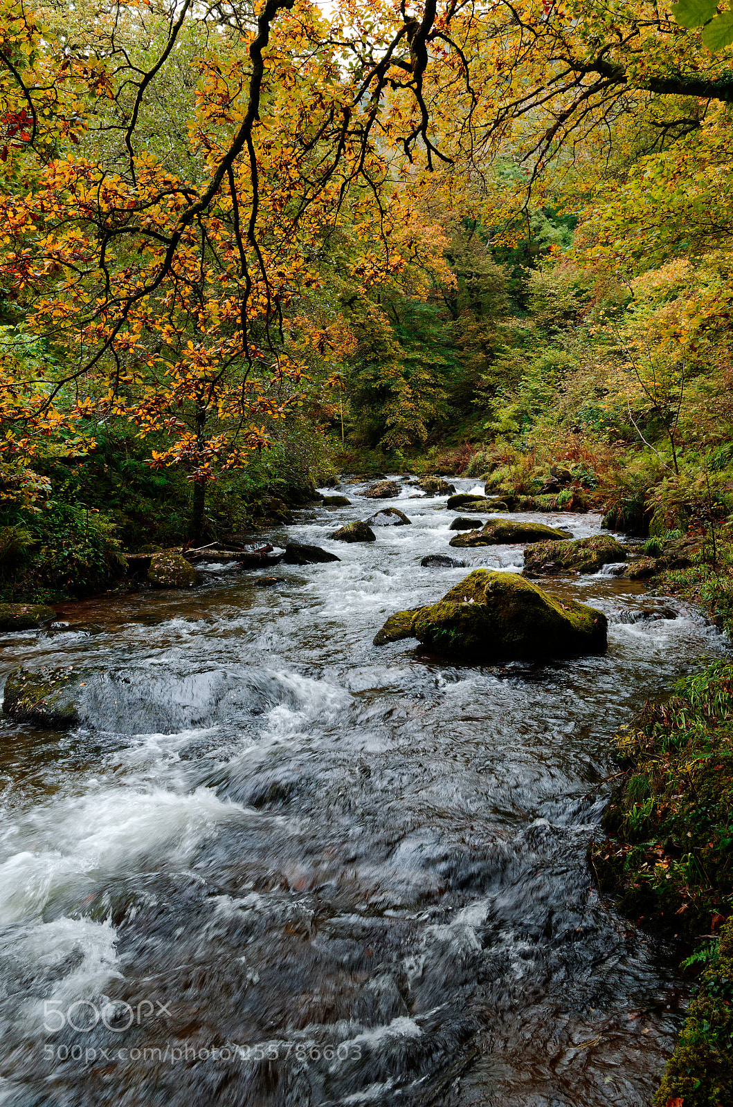 Nikon D5100 sample photo. Late evening at watersmeet photography