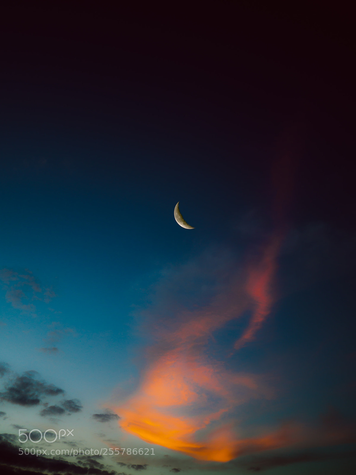Olympus OM-D E-M5 II sample photo. Moon in  poetic sky photography