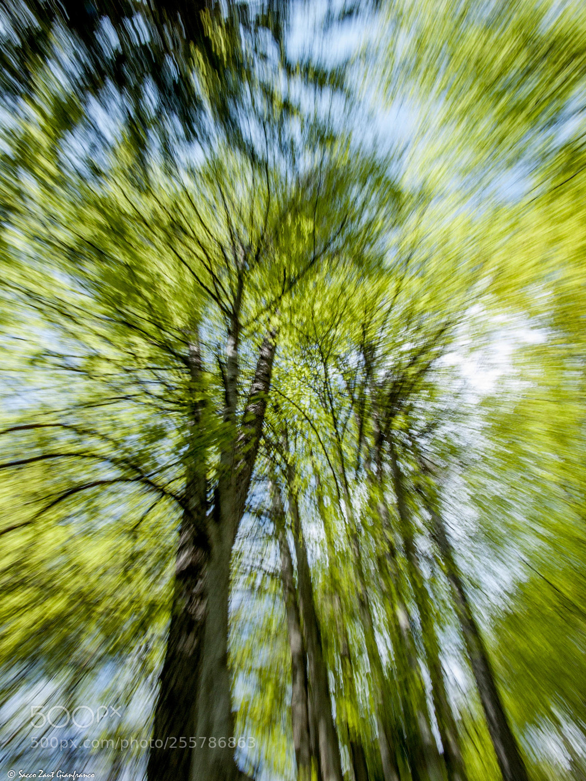 Leica V-LUX 1 sample photo. Green explosion photography