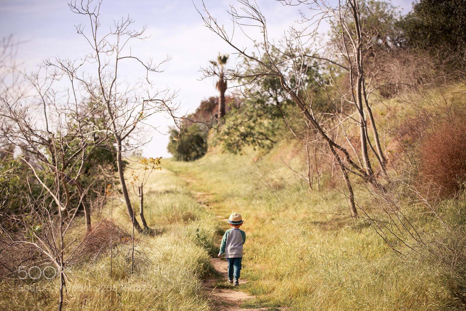 Canon EOS-1D X sample photo. Hq photography