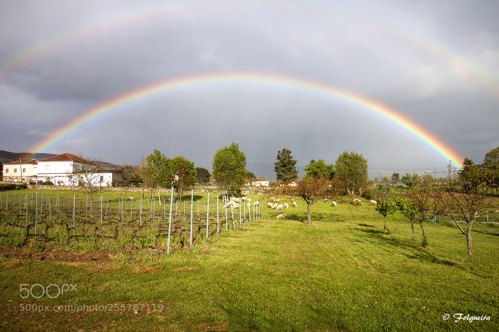 Canon EOS 70D sample photo. Doble arco iris photography