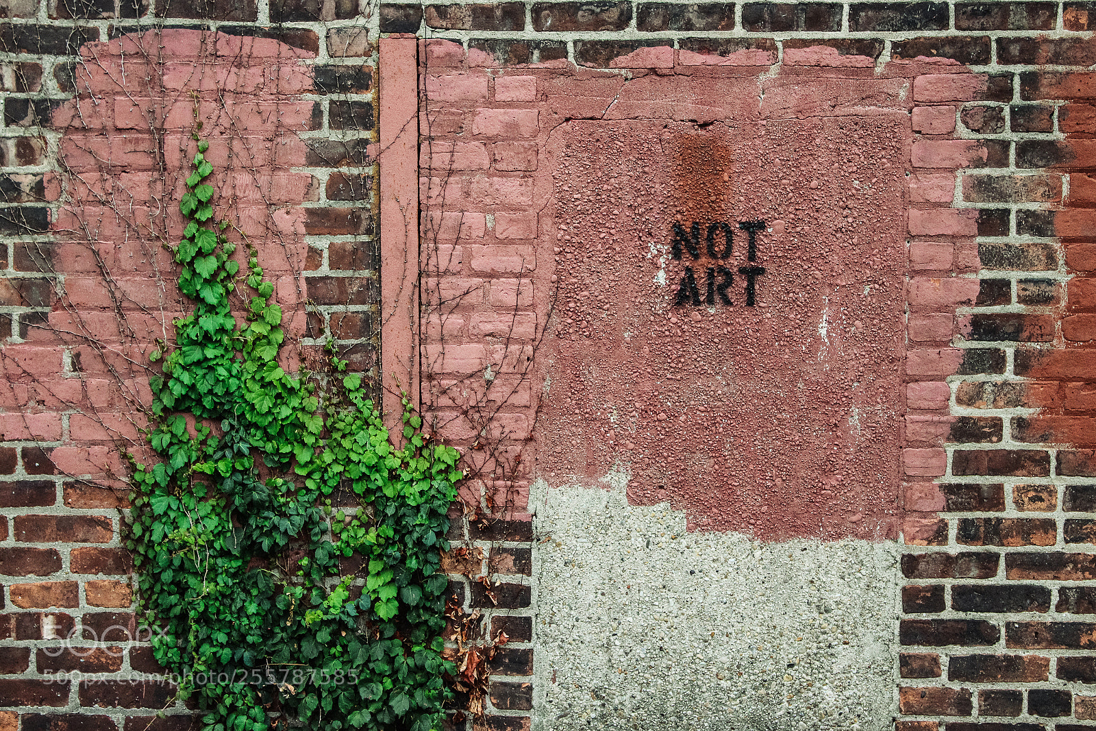 Canon EOS 1300D (EOS Rebel T6 / EOS Kiss X80) sample photo. Not art on brick photography