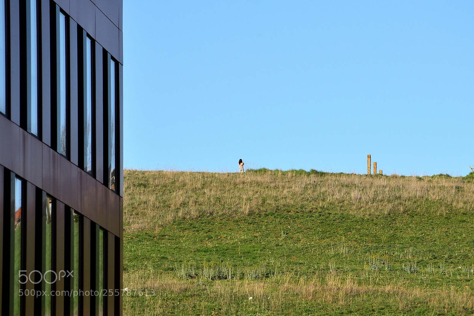 Nikon D3100 sample photo. Untitled photography