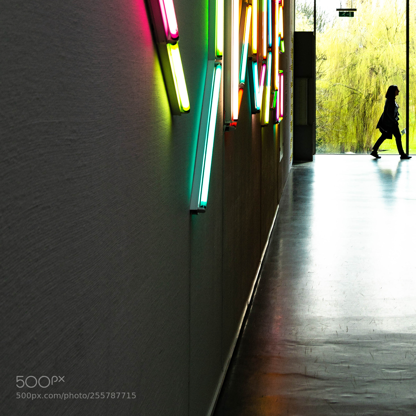 Sony ILCA-77M2 sample photo. Light photography