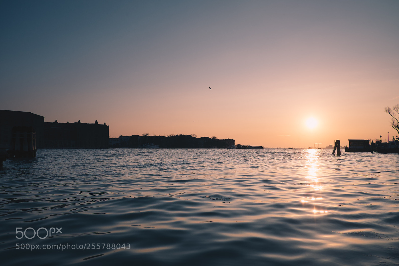 Fujifilm X-T10 sample photo. Venice photography