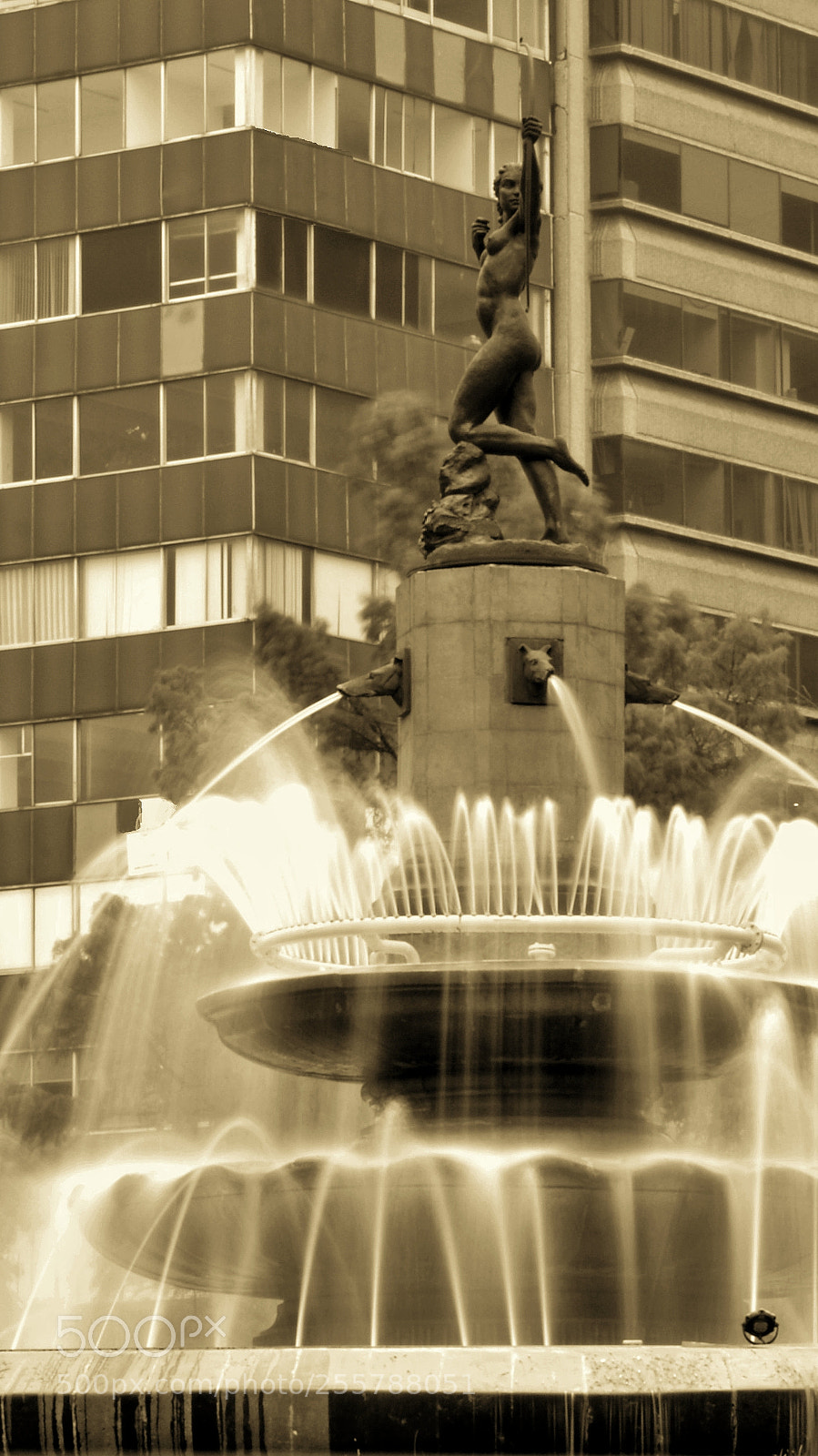 Nikon D3200 sample photo. Diana cazadora photography