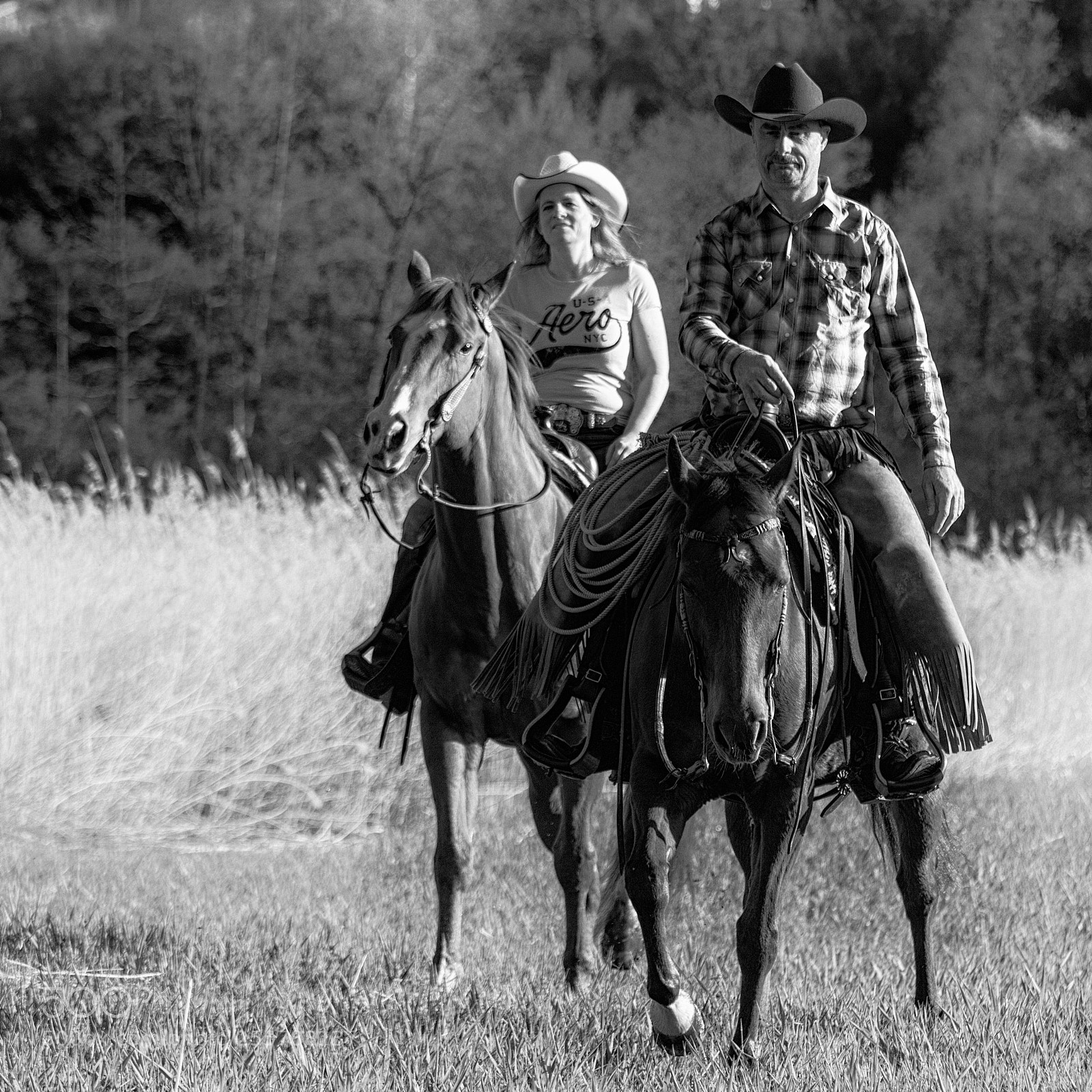 Canon EOS 7D Mark II sample photo. Cowcouple photography
