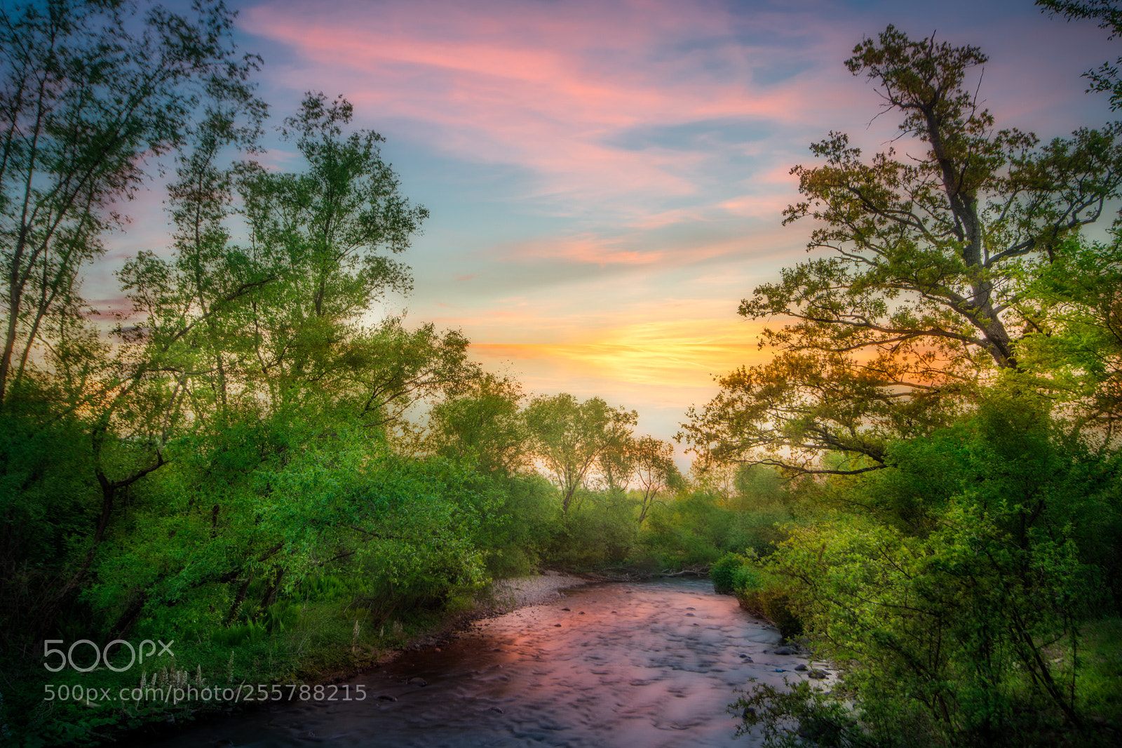 Nikon D850 sample photo. River sapanta photography