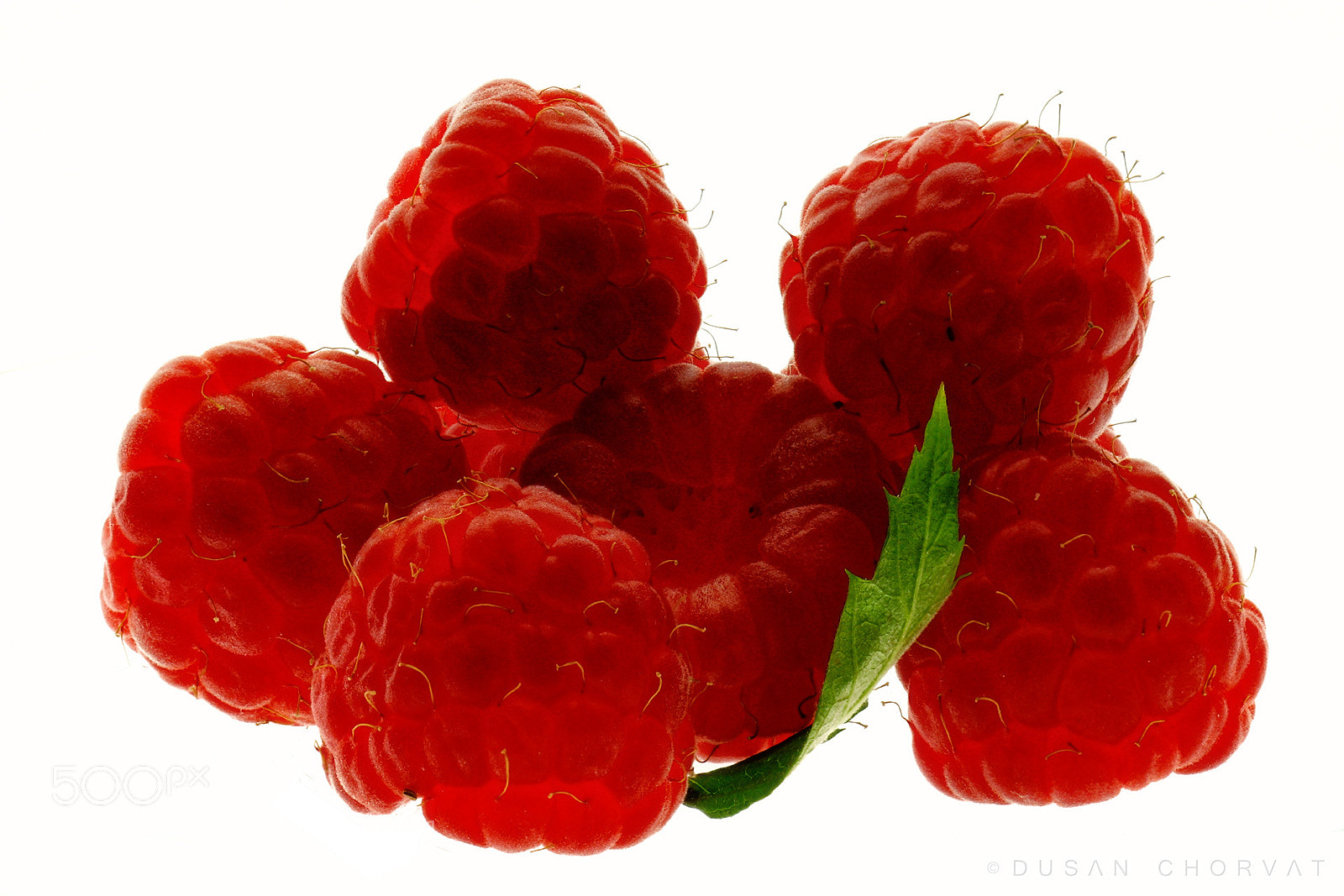 Canon EOS 7D Mark II sample photo. Raspberries photography