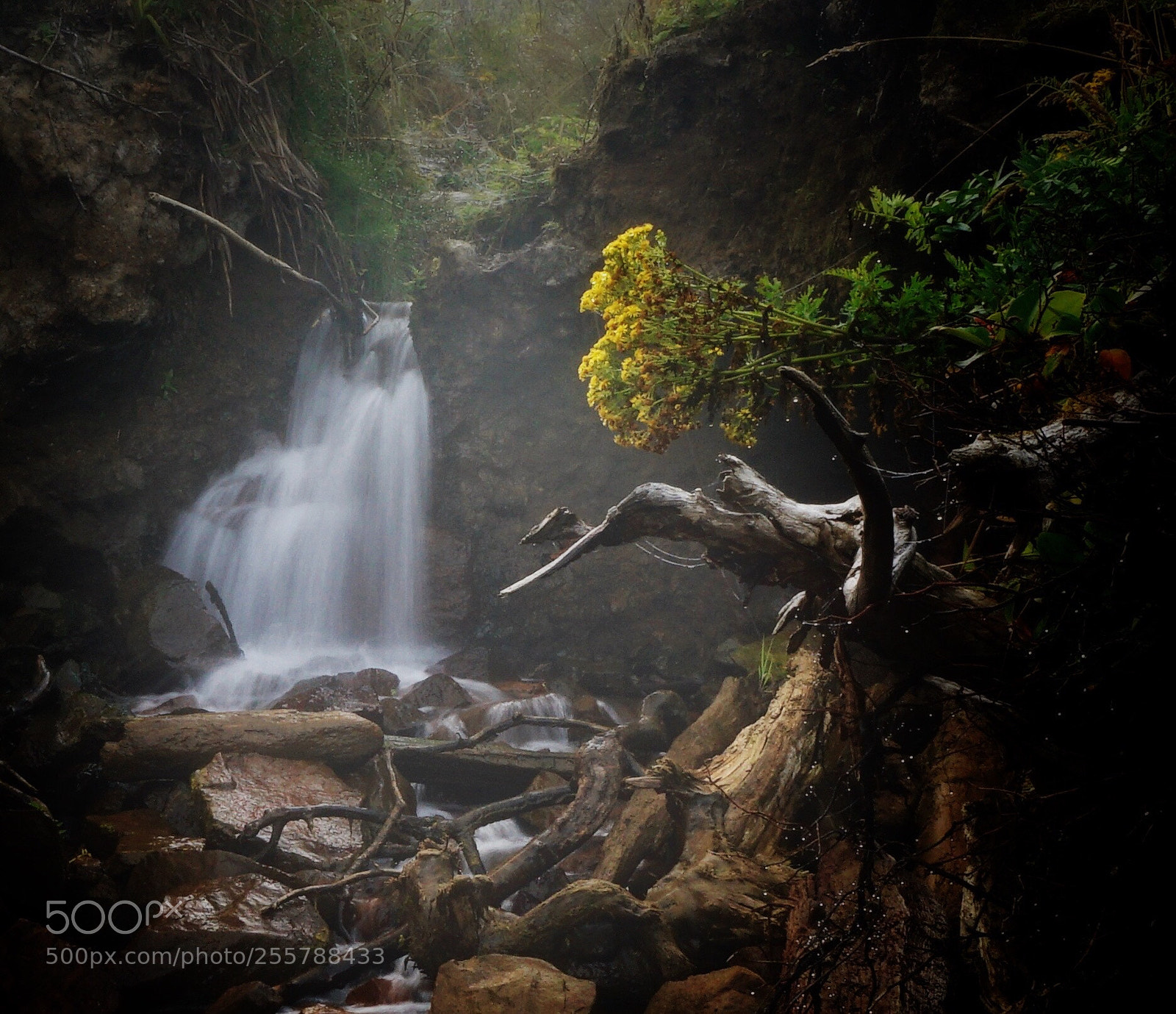 Sony a6000 sample photo. Mysterious place photography