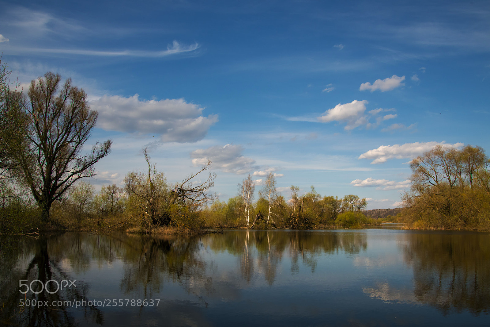 Nikon D850 sample photo. It's spring photography