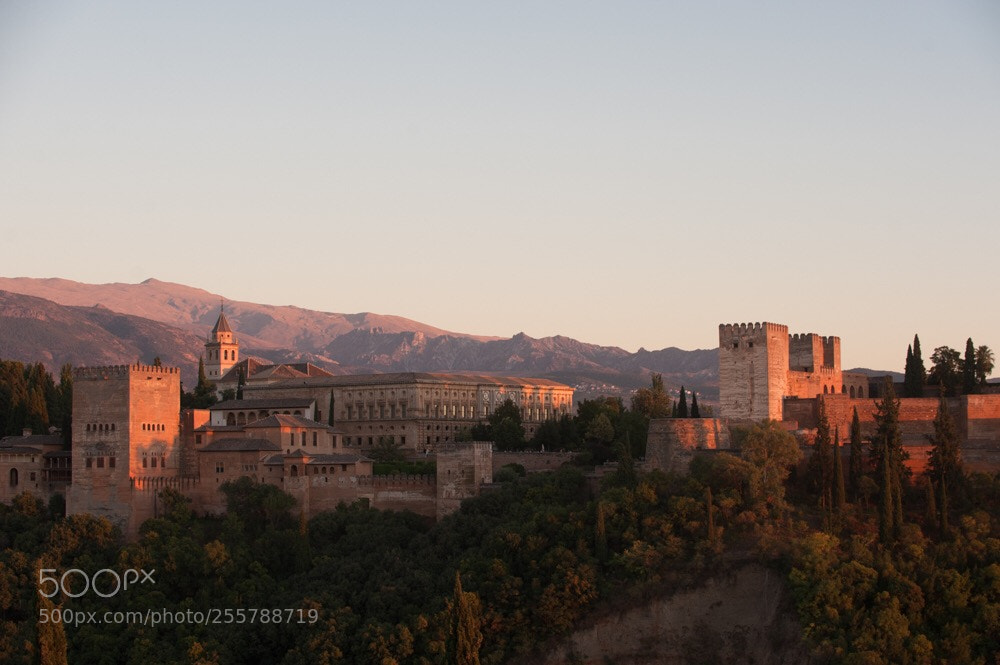Nikon D700 sample photo. Alhambra photography