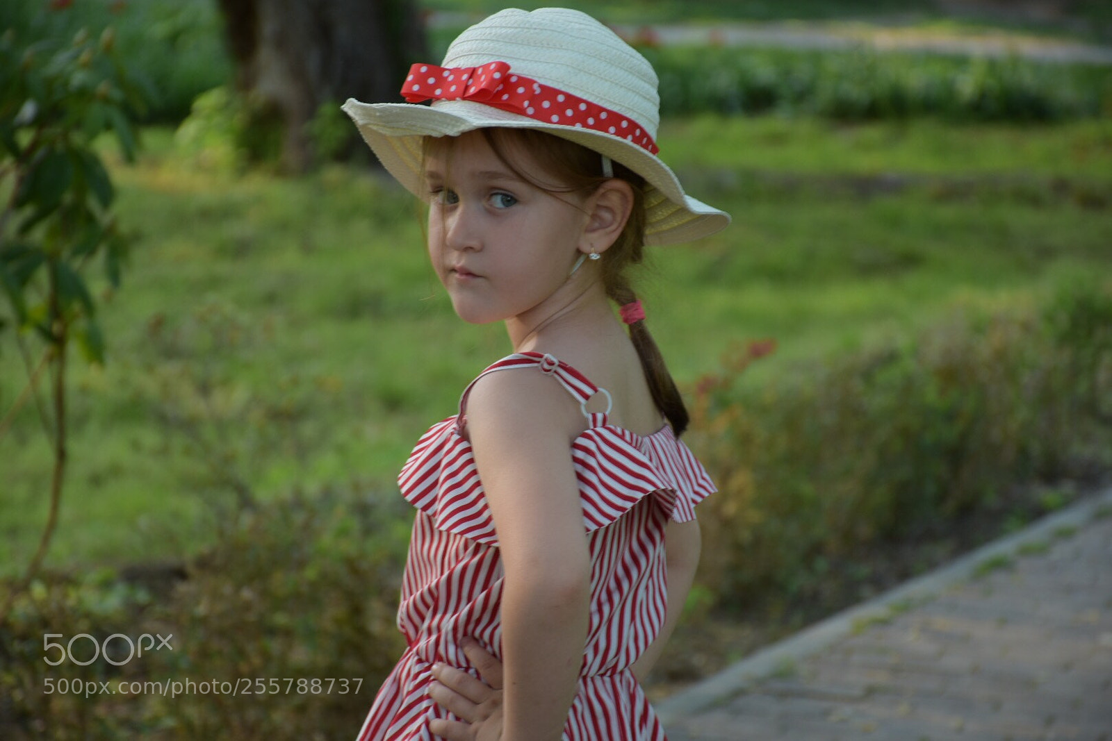 Nikon D7200 sample photo. Untitled photography