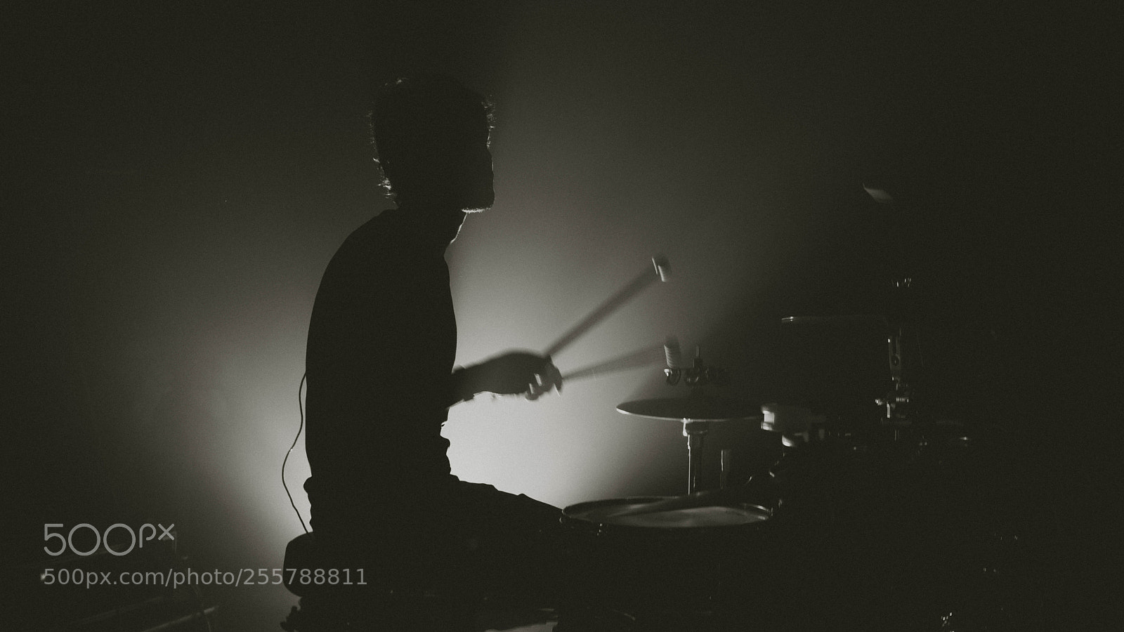 Sony a7 sample photo. Whiplash photography