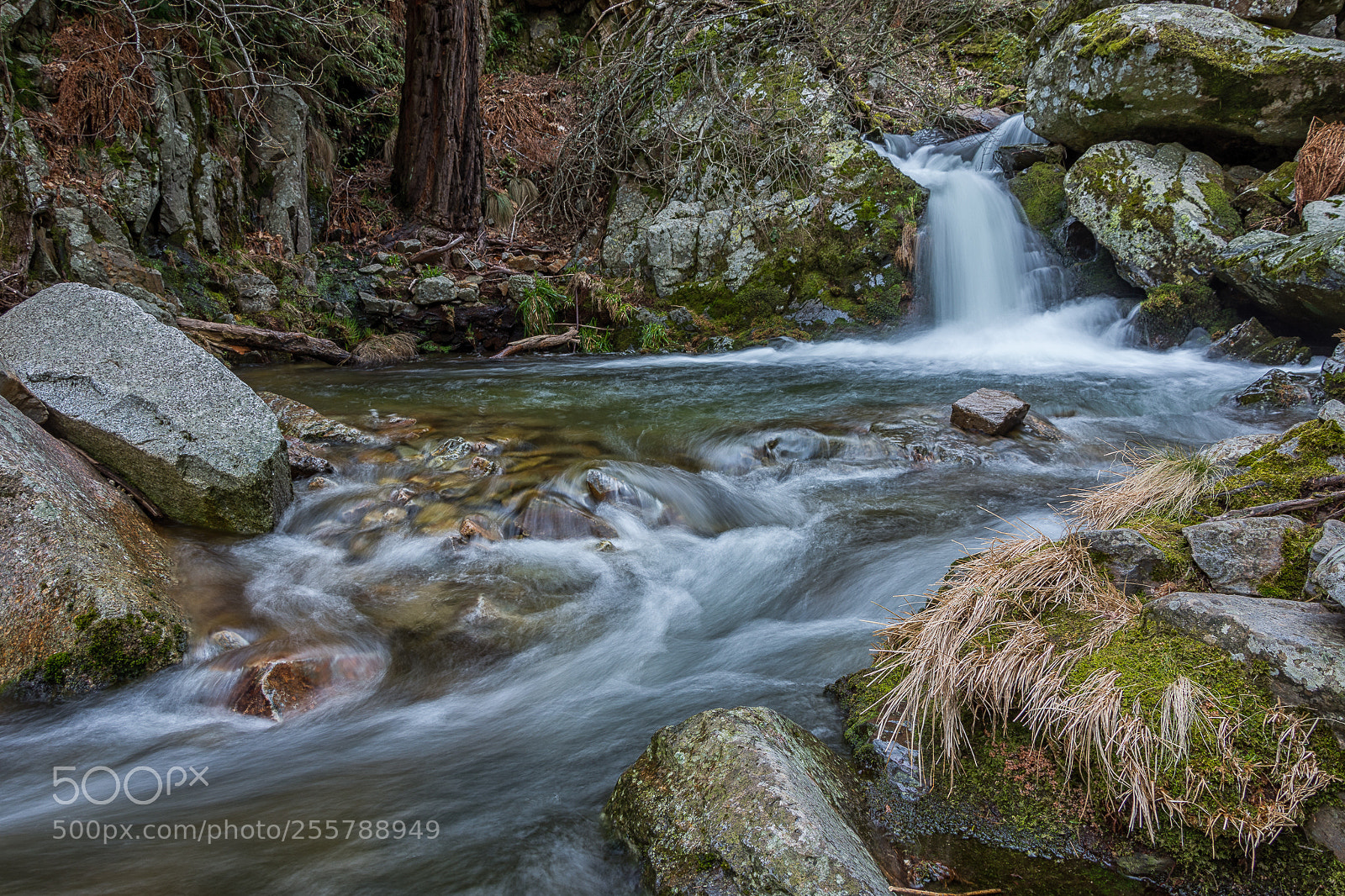 Nikon D7200 sample photo. Hells creek ii photography