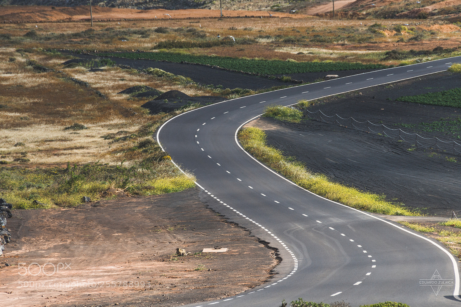 Nikon D800 sample photo. Lanzarote photography